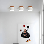 Vintage LED ceiling lamp
