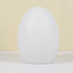 RGB ABS egg-shaped LED Decorative Table Lamp