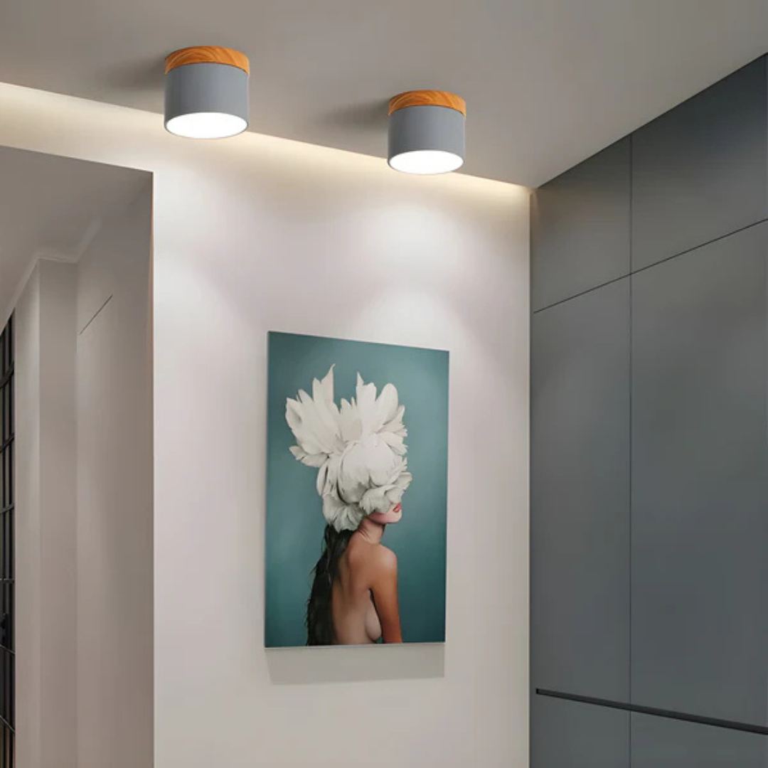 Vintage LED ceiling lamp