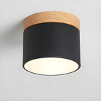 Vintage LED ceiling lamp