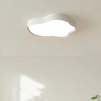 Stylish LED ceiling lamp