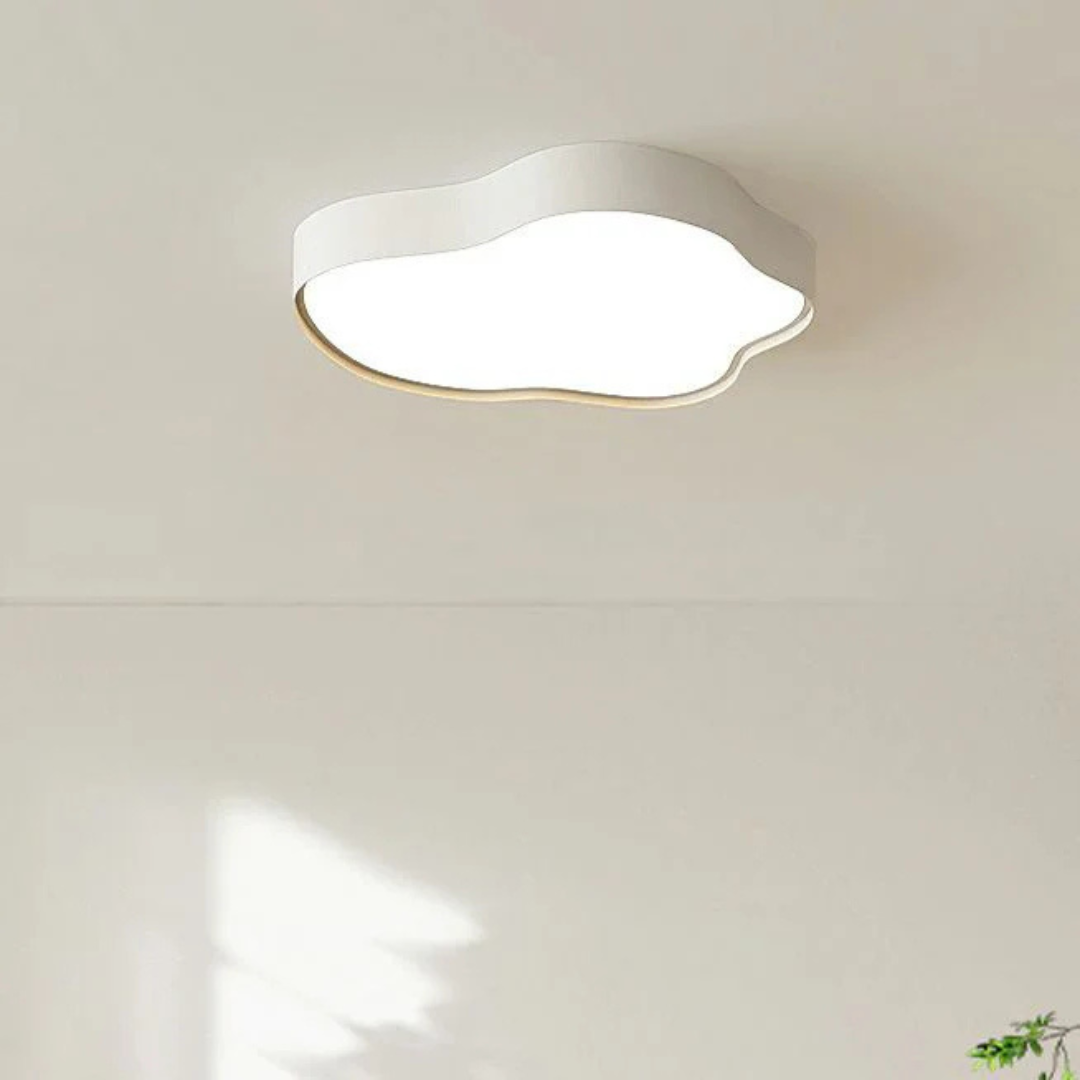 Stylish LED ceiling lamp