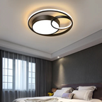 Modern LED ceiling light