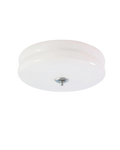 Ceiling Lamp Modern and Classic Elegant