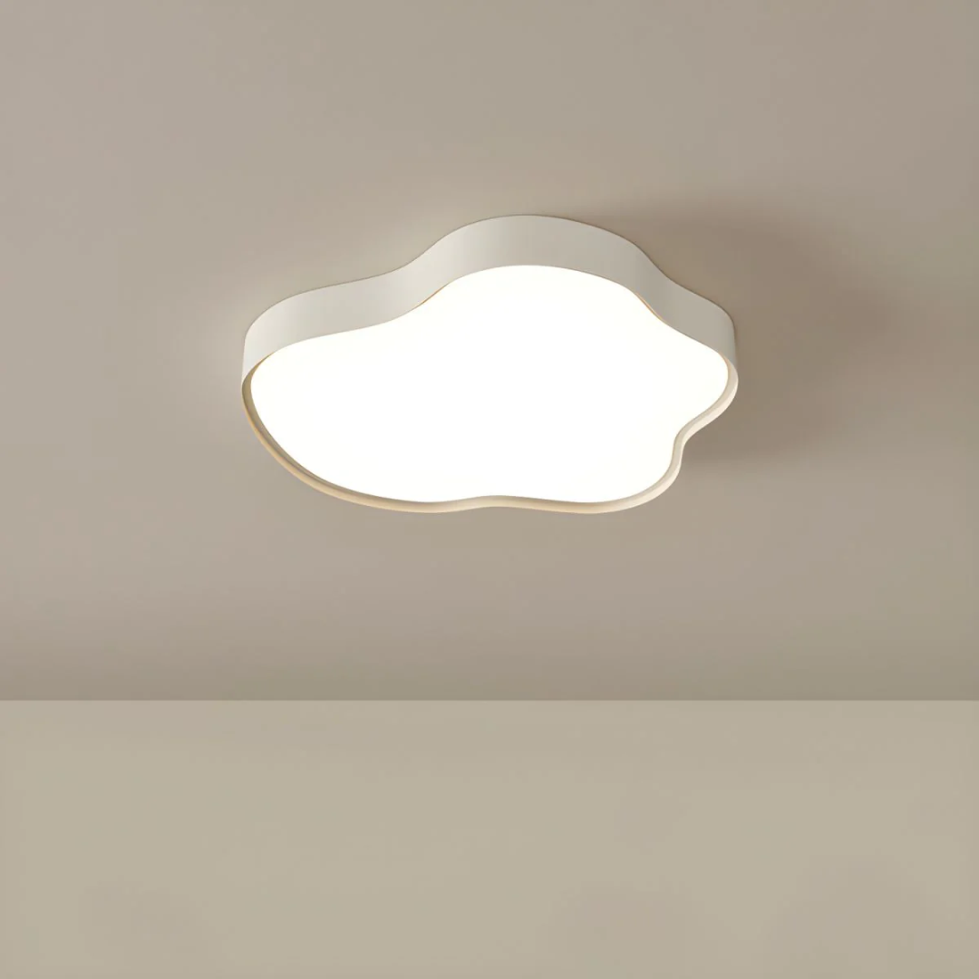 Stylish LED ceiling lamp