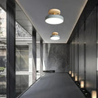 Compact modern LED ceiling lamp
