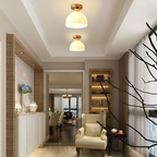 Modern Ceiling Light