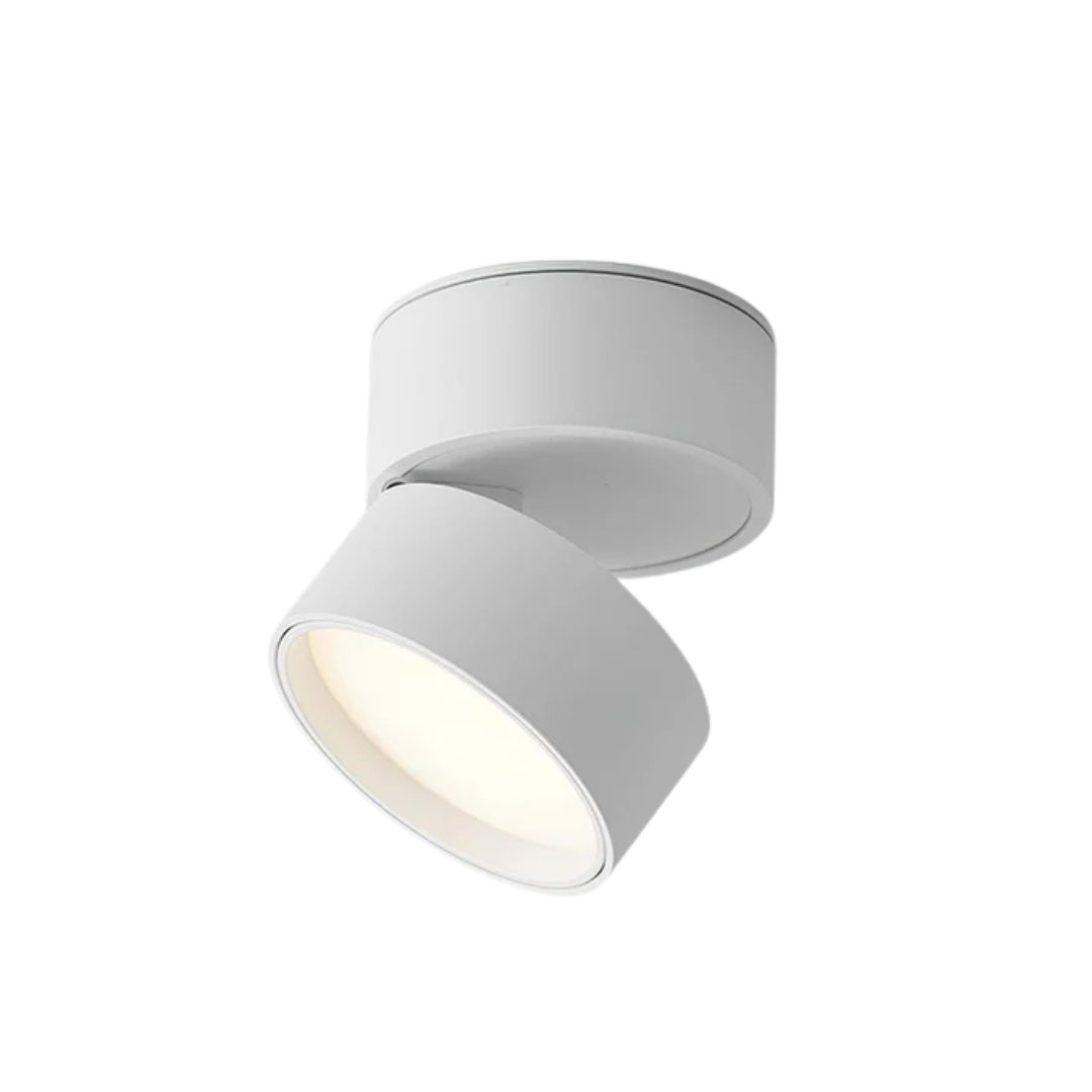 Adjustable LED Ceiling Lamp