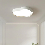 Stylish LED ceiling lamp