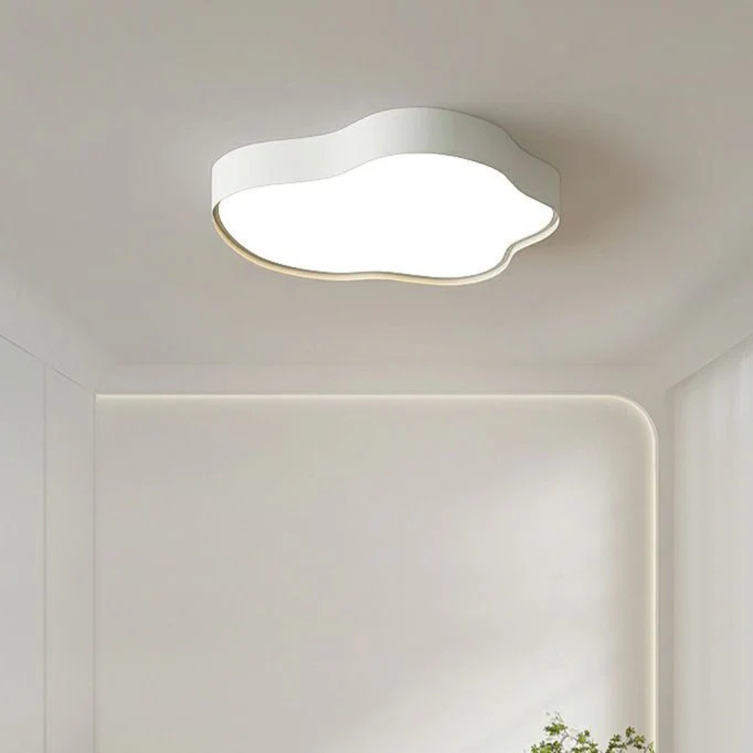 Stylish LED ceiling lamp