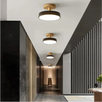Compact modern LED ceiling lamp