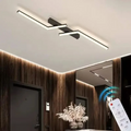 Luxury LED Ceiling Light