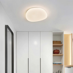 Stylish LED ceiling lamp