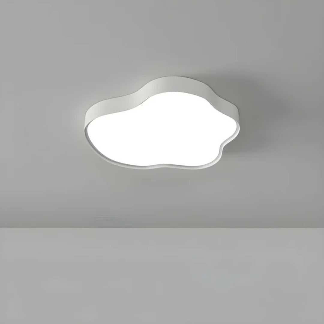 Stylish LED ceiling lamp