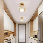Luxury LED Ceiling Light