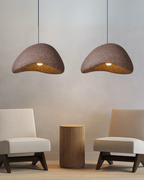 Modern Pendant Lamp Design Atmospheric LED Ceiling Light