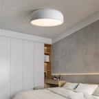 Stylish ceiling lamp for the living room