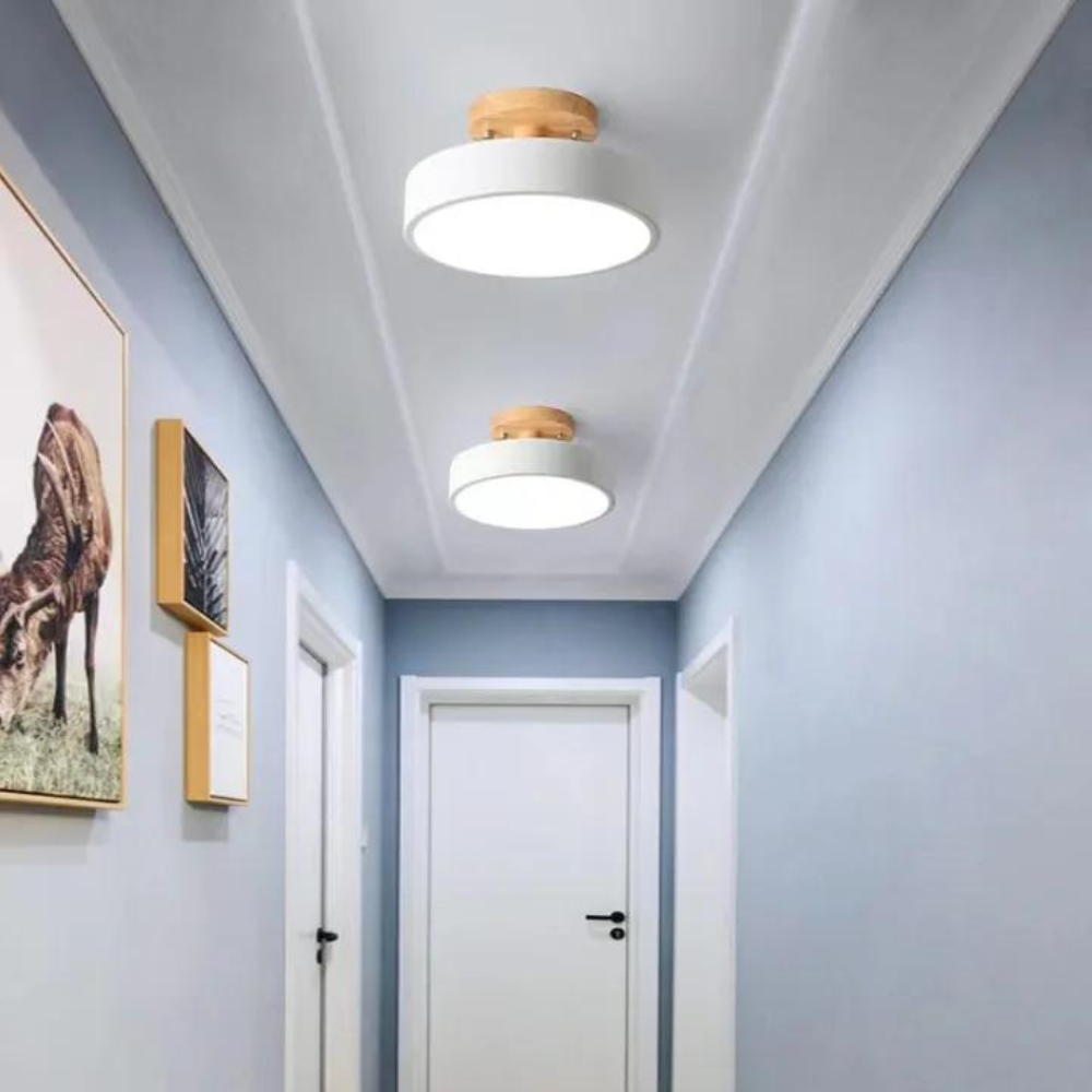 Compact modern LED ceiling lamp