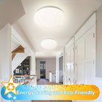 24W LED Ceiling Light dimmable with starry sky effect