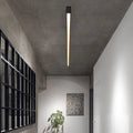 Black metal ceiling lamp LED linear minimalist modern design