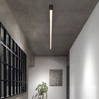 Black metal ceiling lamp LED linear minimalist modern design