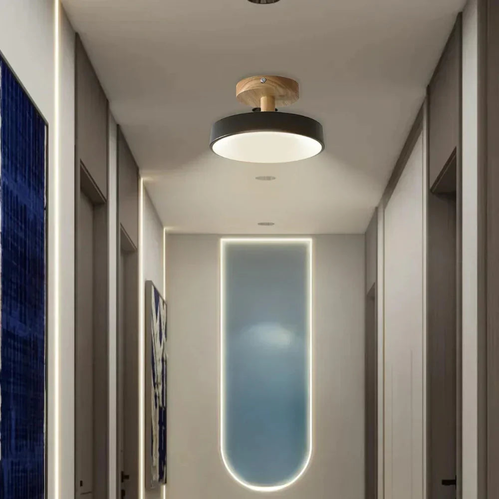 Compact modern LED ceiling lamp