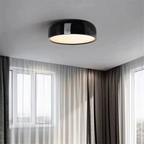 Stylish ceiling lamp for the living room