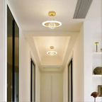 Dimmable LED ceiling light for stylish interiors