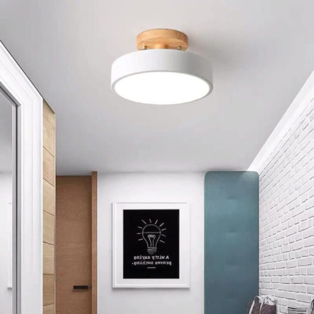 Compact modern LED ceiling lamp