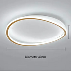 Modern LED ceiling light
