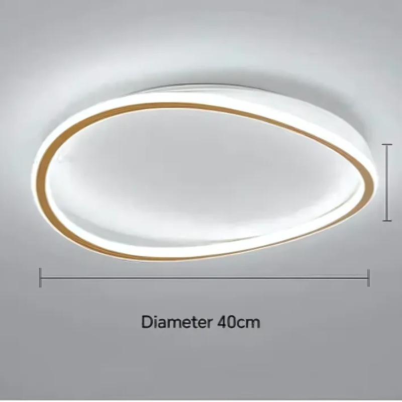 Modern LED ceiling light