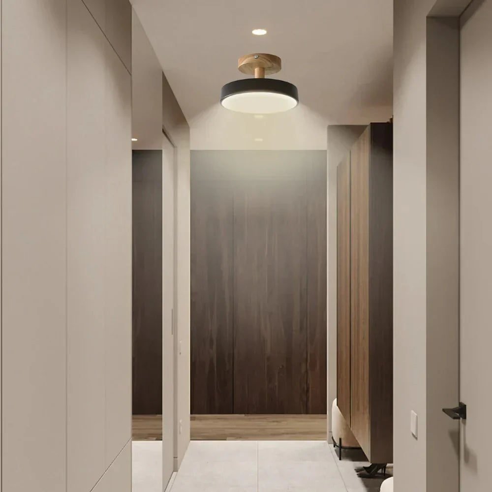 Compact modern LED ceiling lamp