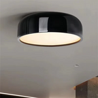 Stylish ceiling lamp for the living room