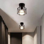 Luxury LED Ceiling Light