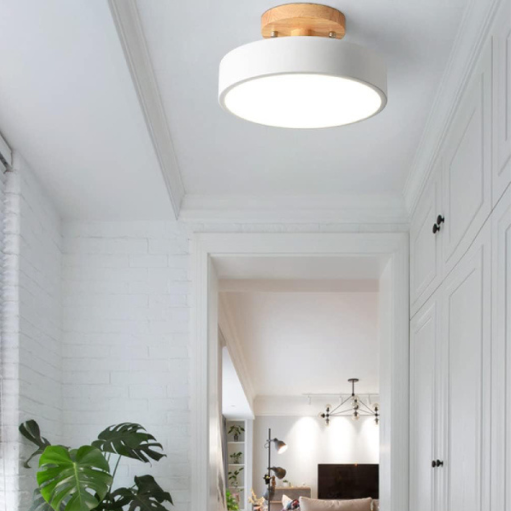 Compact modern LED ceiling lamp
