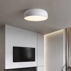 Stylish ceiling lamp for the living room