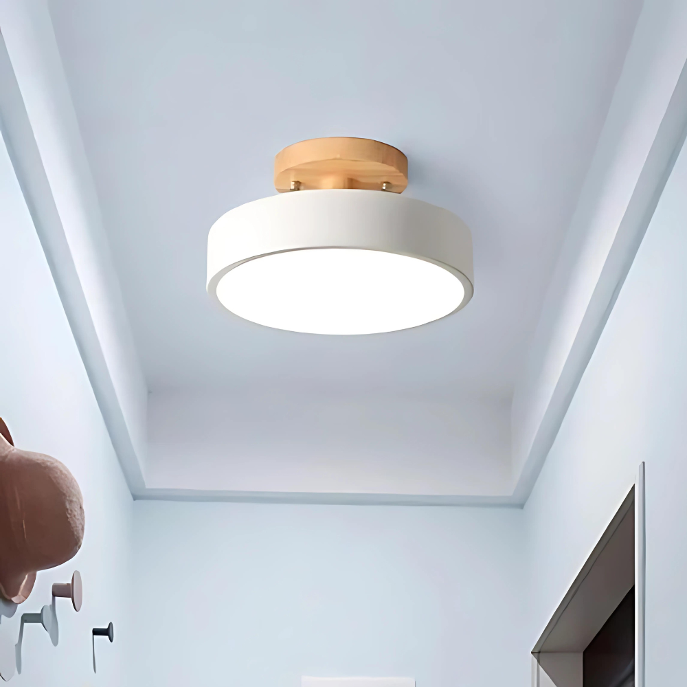 Compact modern LED ceiling lamp