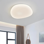 Stylish LED ceiling lamp