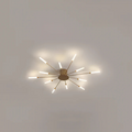 Luxurious LED ceiling light | Stylish ceiling light for the living room