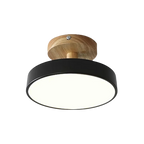 Compact modern LED ceiling lamp