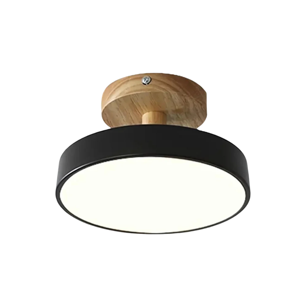 Compact modern LED ceiling lamp