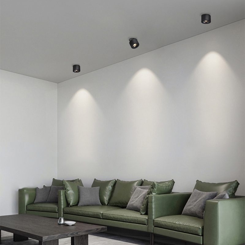 Adjustable Cylinder Built-in LED Ceiling Lamp