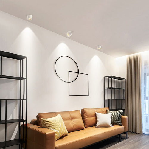 Adjustable Cylinder Built-in LED Ceiling Lamp