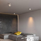 Adjustable Cylinder Built-in LED Ceiling Lamp