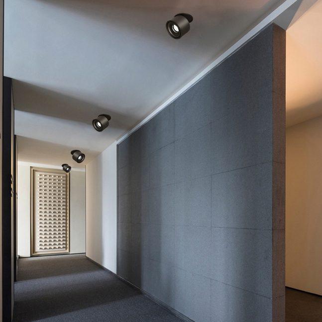 Adjustable Cylinder Built-in LED Ceiling Lamp
