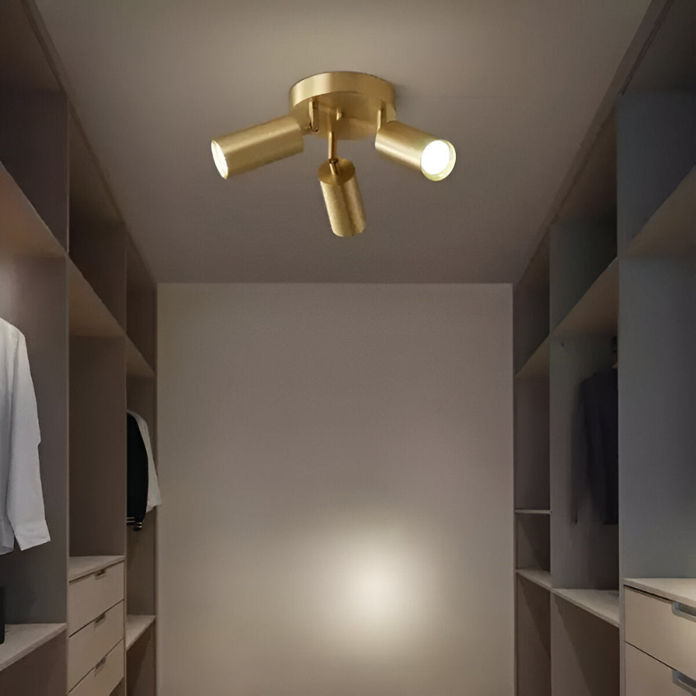 Brass LED Ceiling Light Modern Design