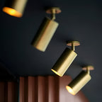 Brass LED Ceiling Light Modern Design