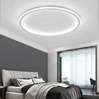 Modern ceiling light - room light