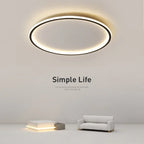 Modern ceiling light - room light