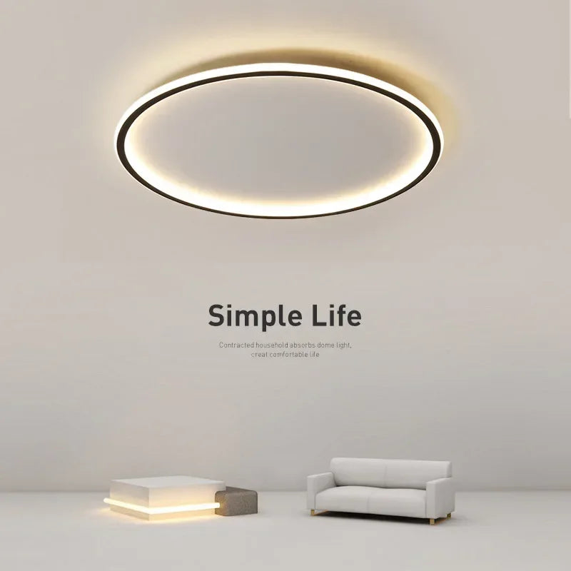 Modern ceiling light - room light